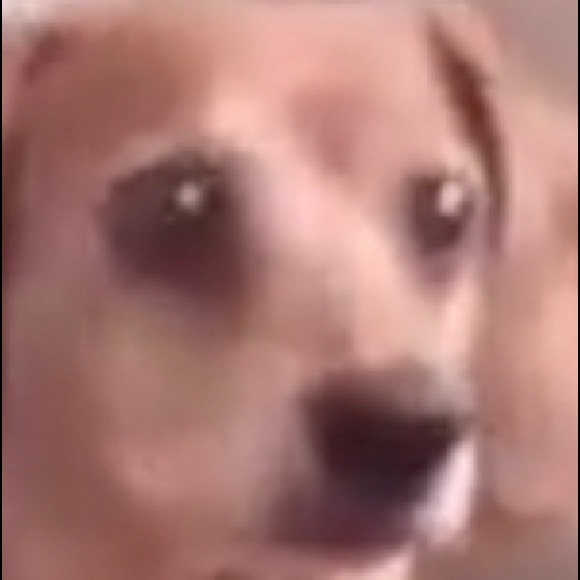 Meet your Posher, Camden - Picture 1 of 1